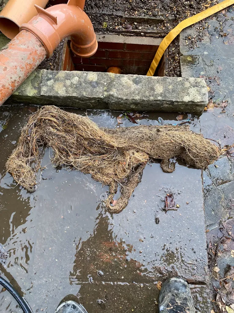 Clogged drain with roots and debris — drainage maintenance in East Yorkshire